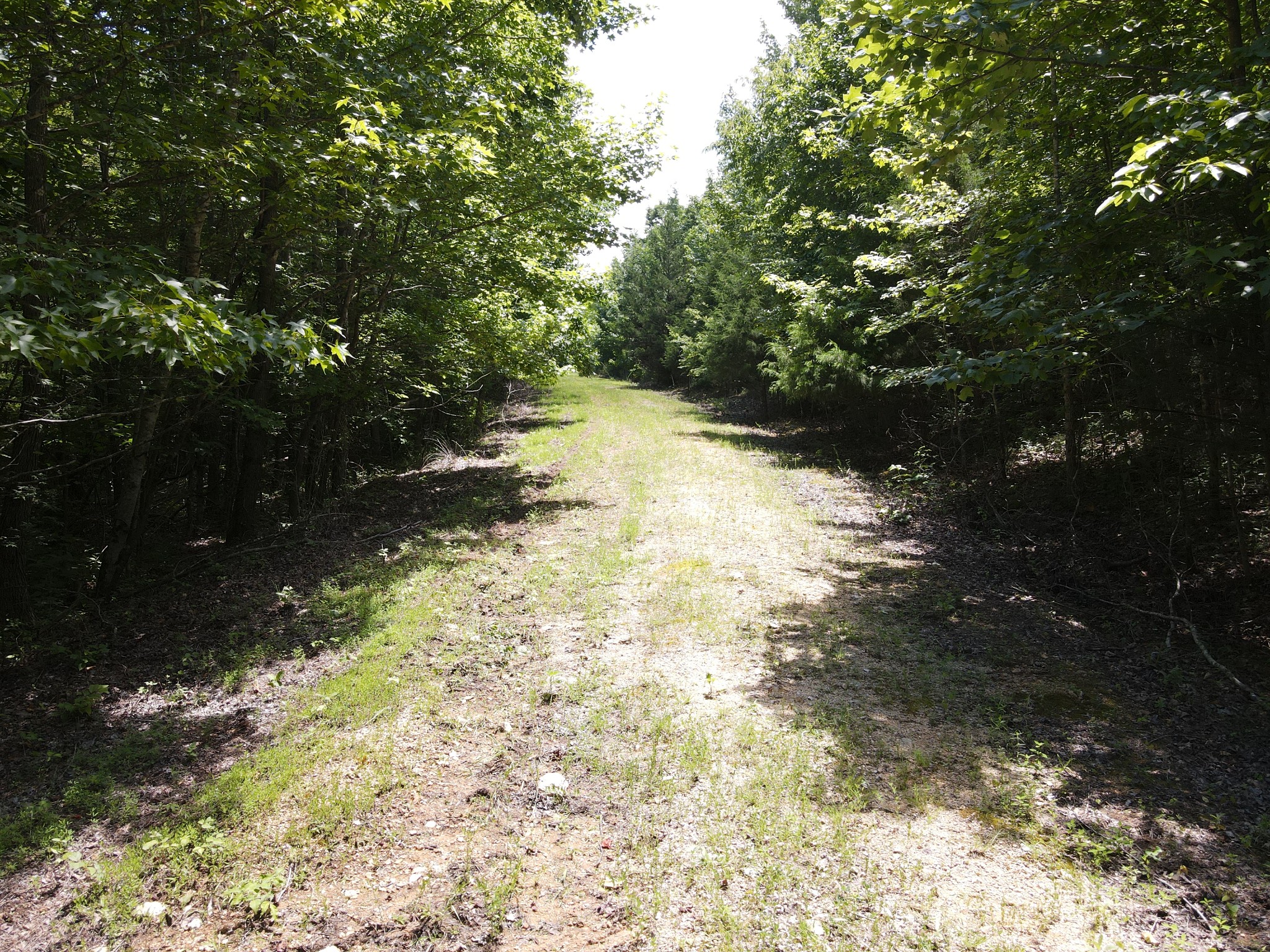 0 White Oak Road Property Photo 5