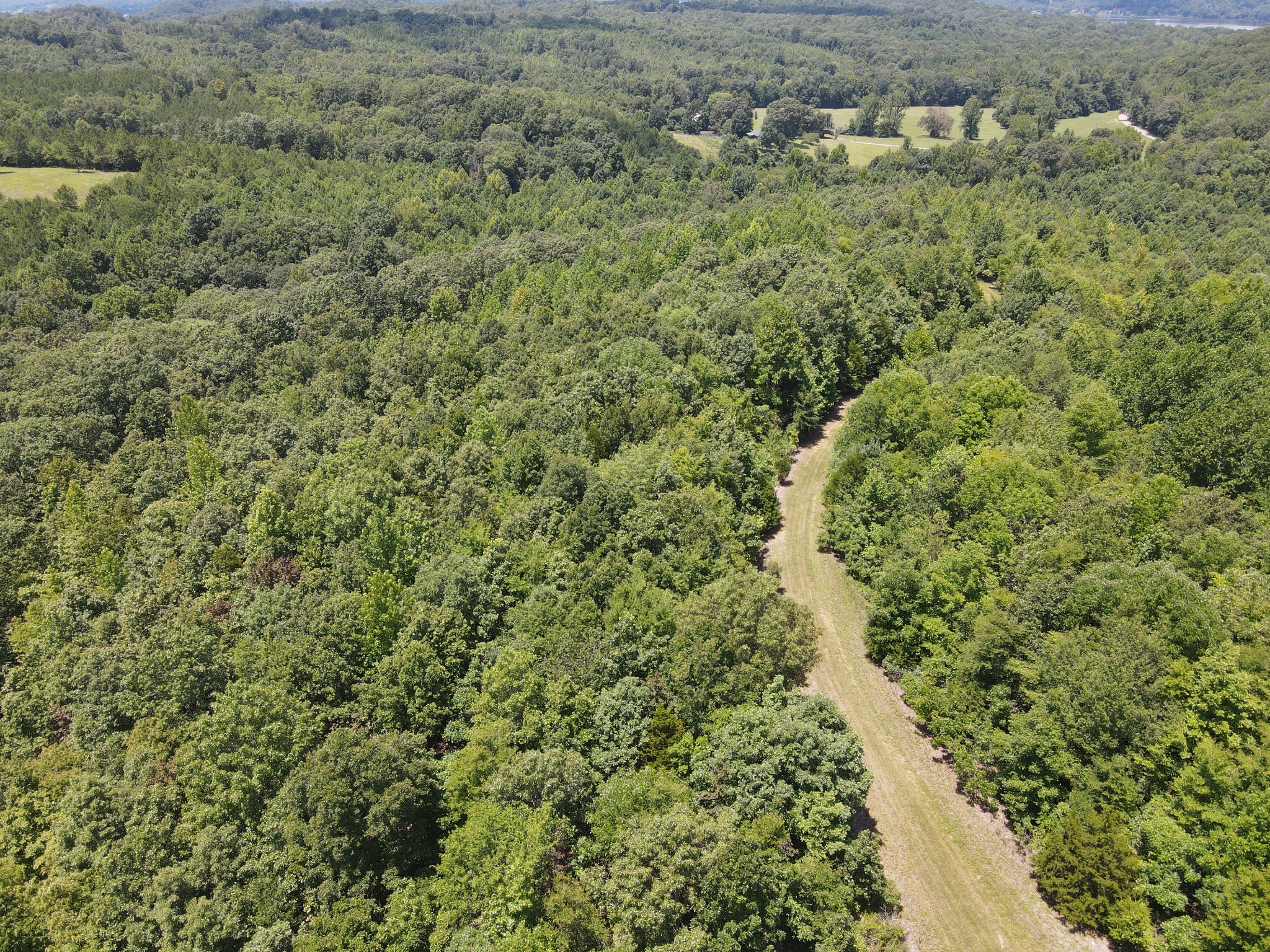 0 White Oak Road Property Photo 7