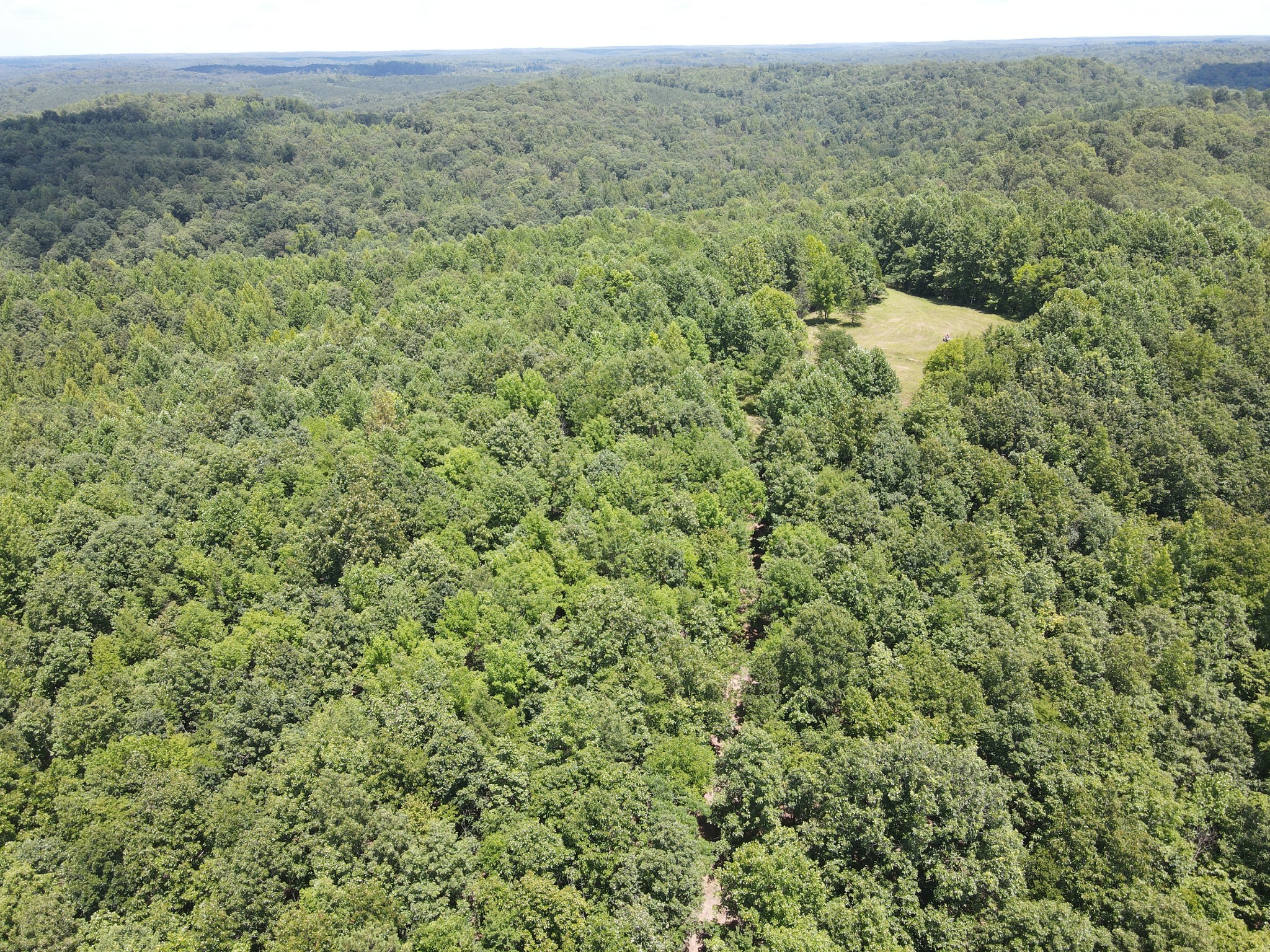 0 White Oak Road Property Photo 13