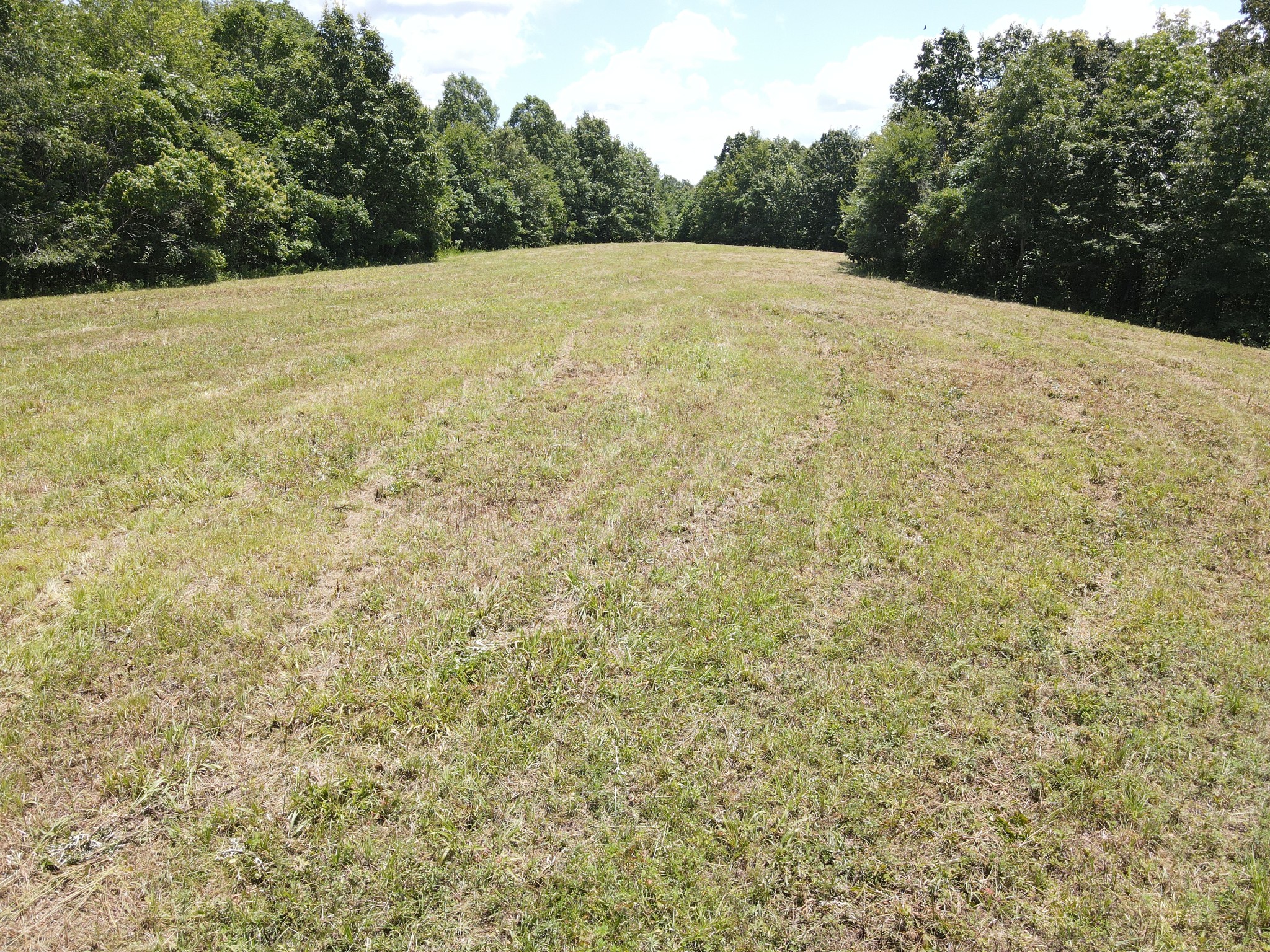 0 White Oak Road Property Photo 14