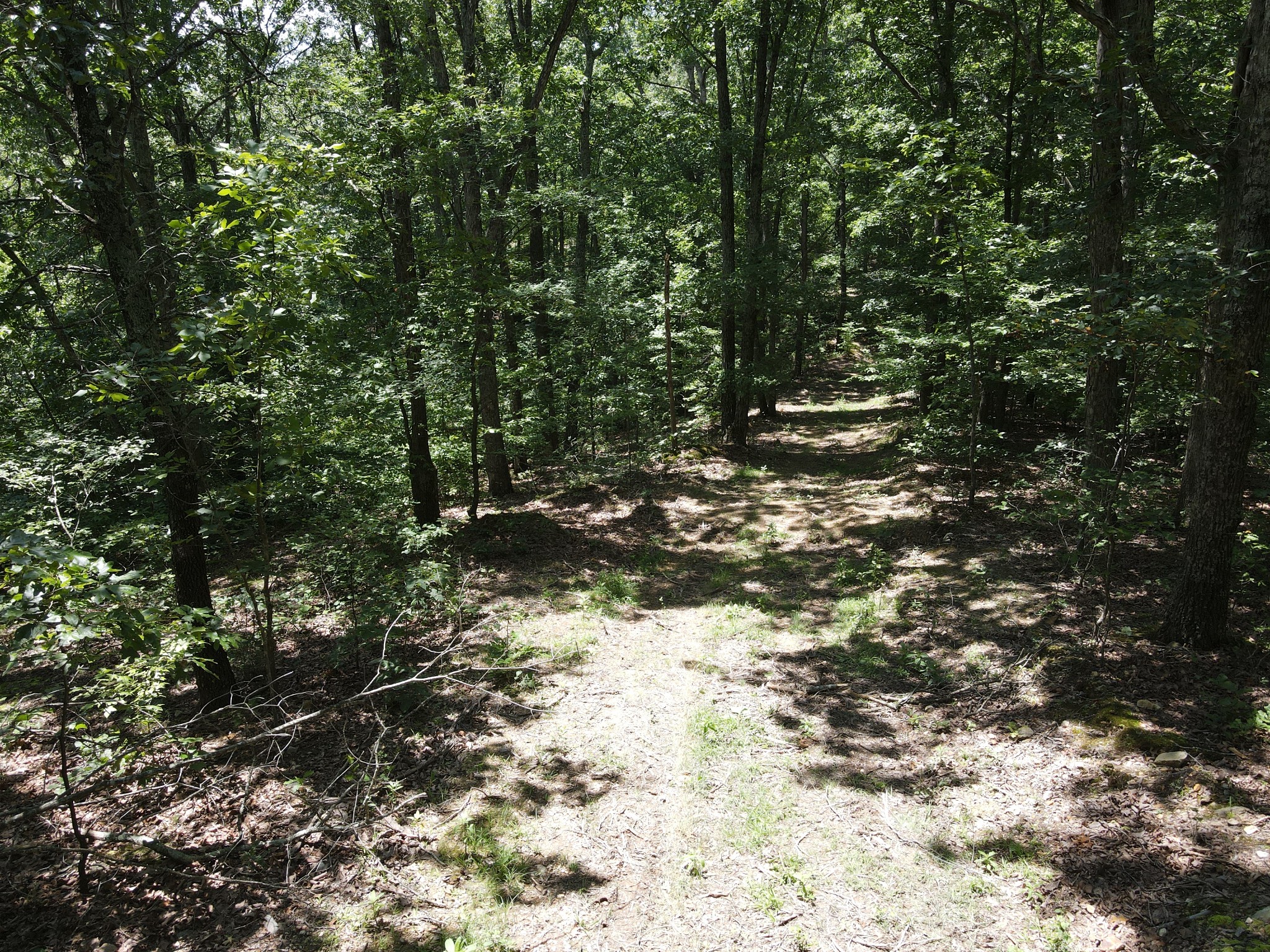 0 White Oak Road Property Photo 15