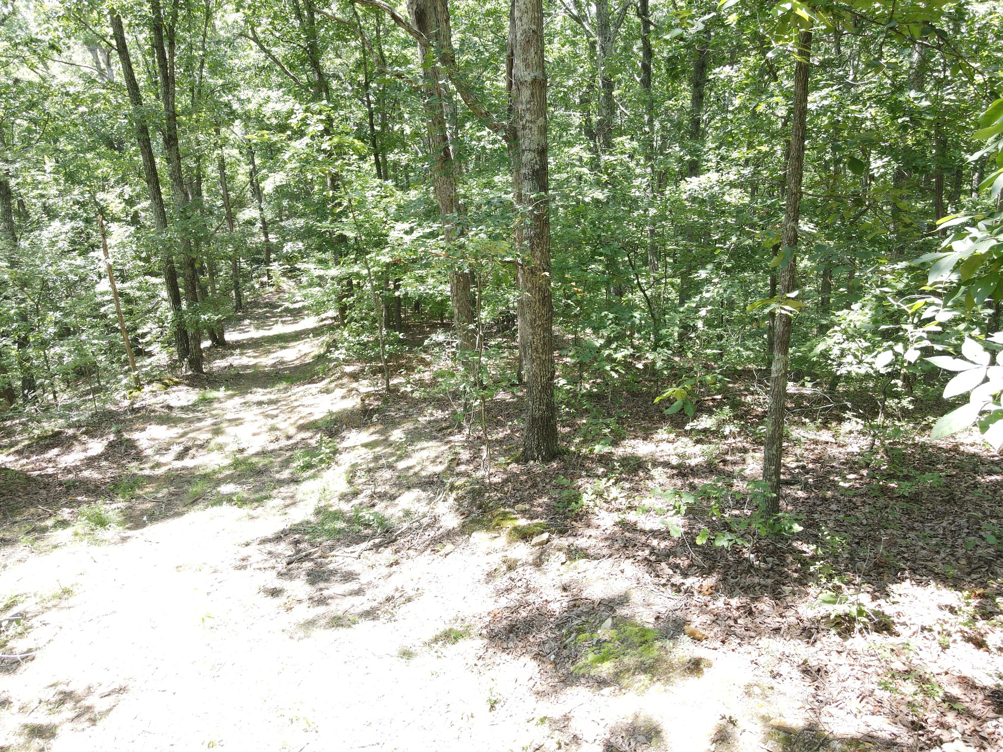 0 White Oak Road Property Photo 16