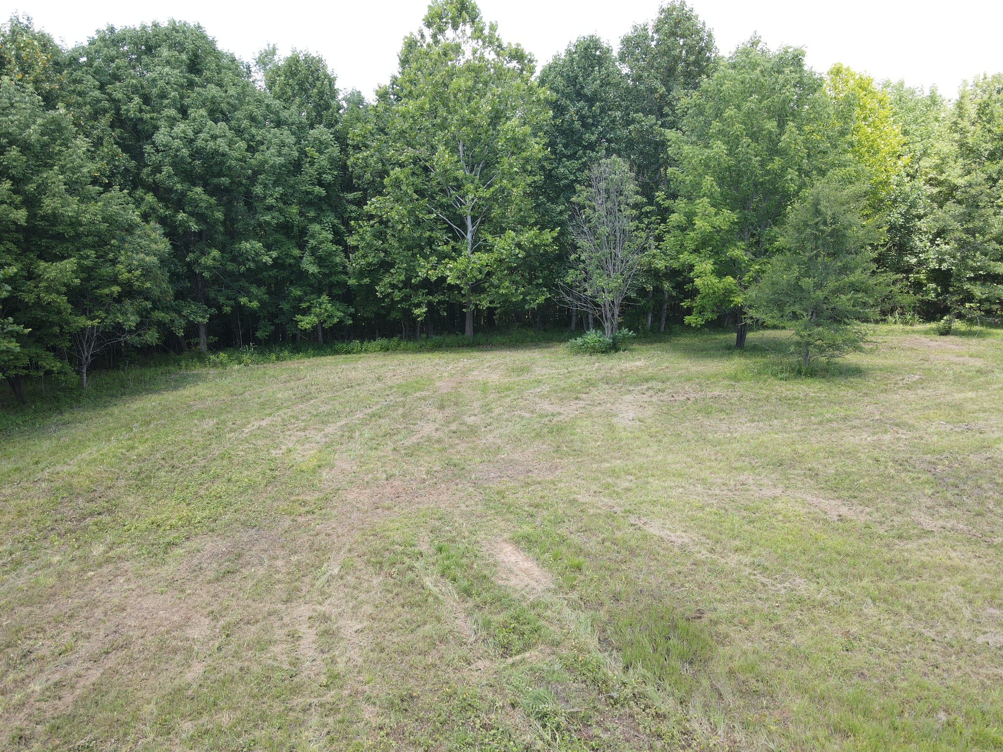 0 White Oak Road Property Photo 17