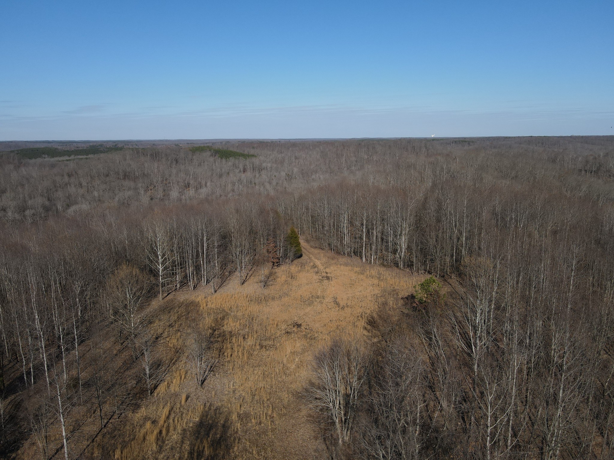 0 White Oak Road Property Photo 18