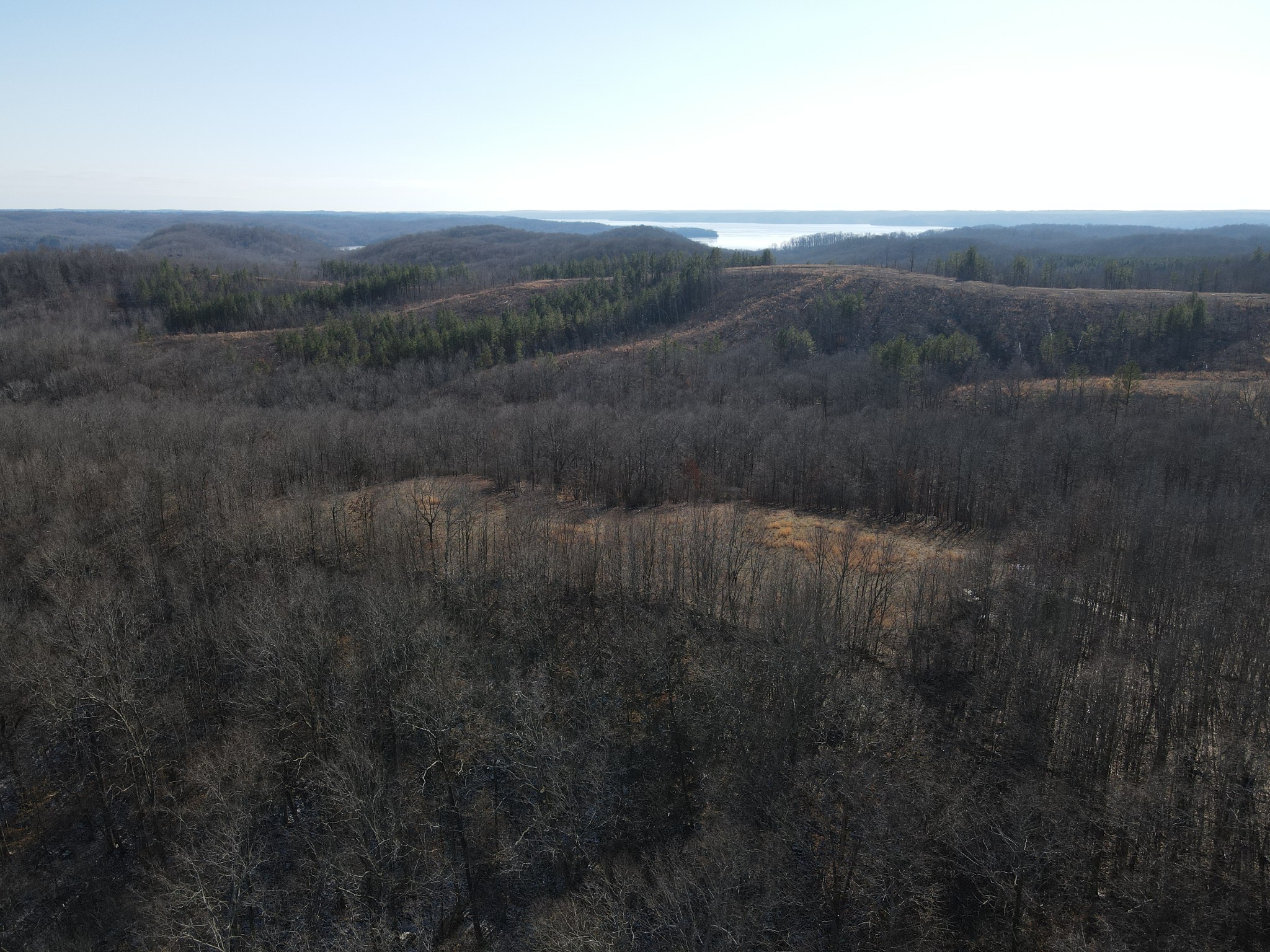 0 White Oak Road Property Photo 19