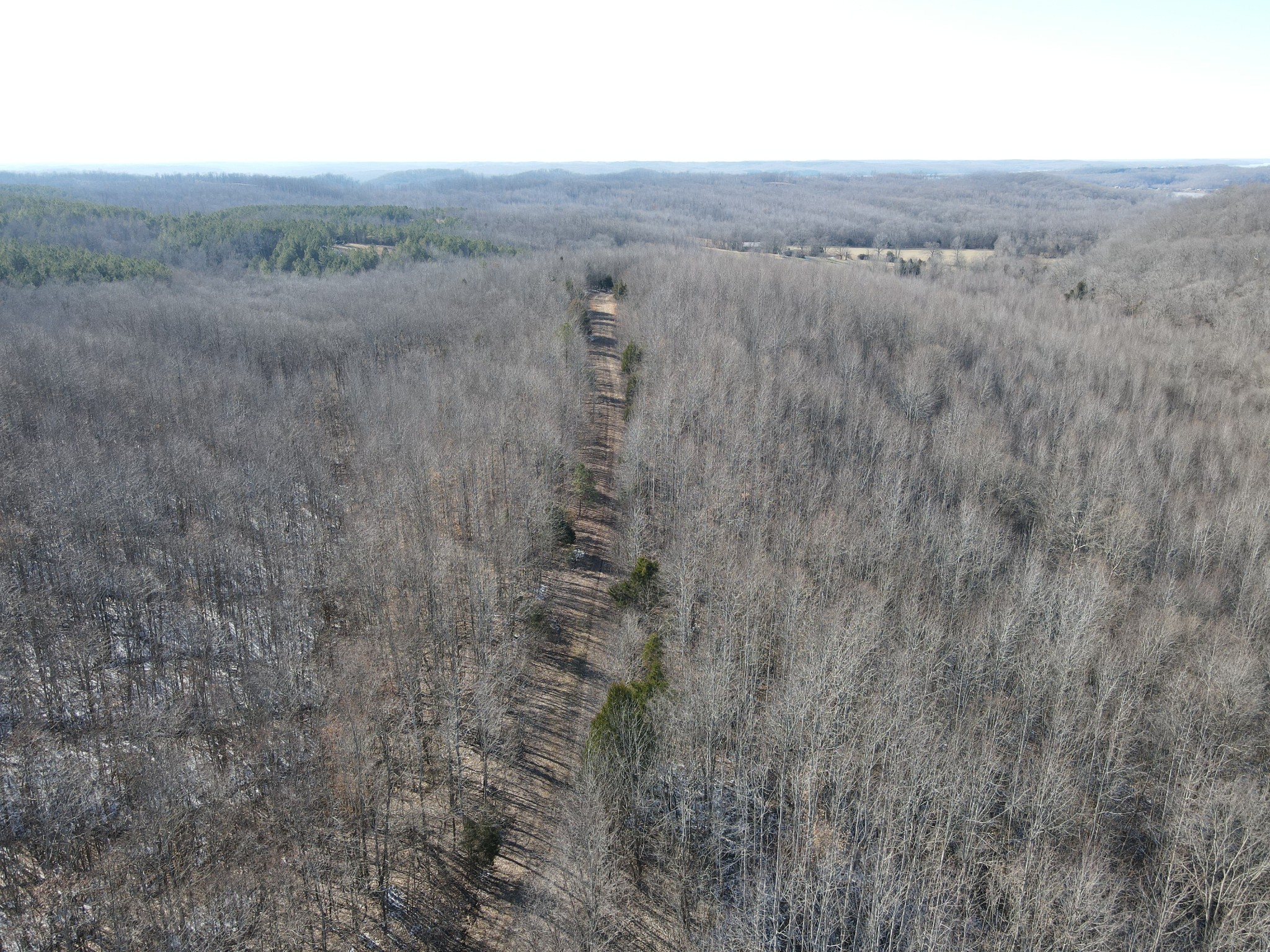 0 White Oak Road Property Photo 23