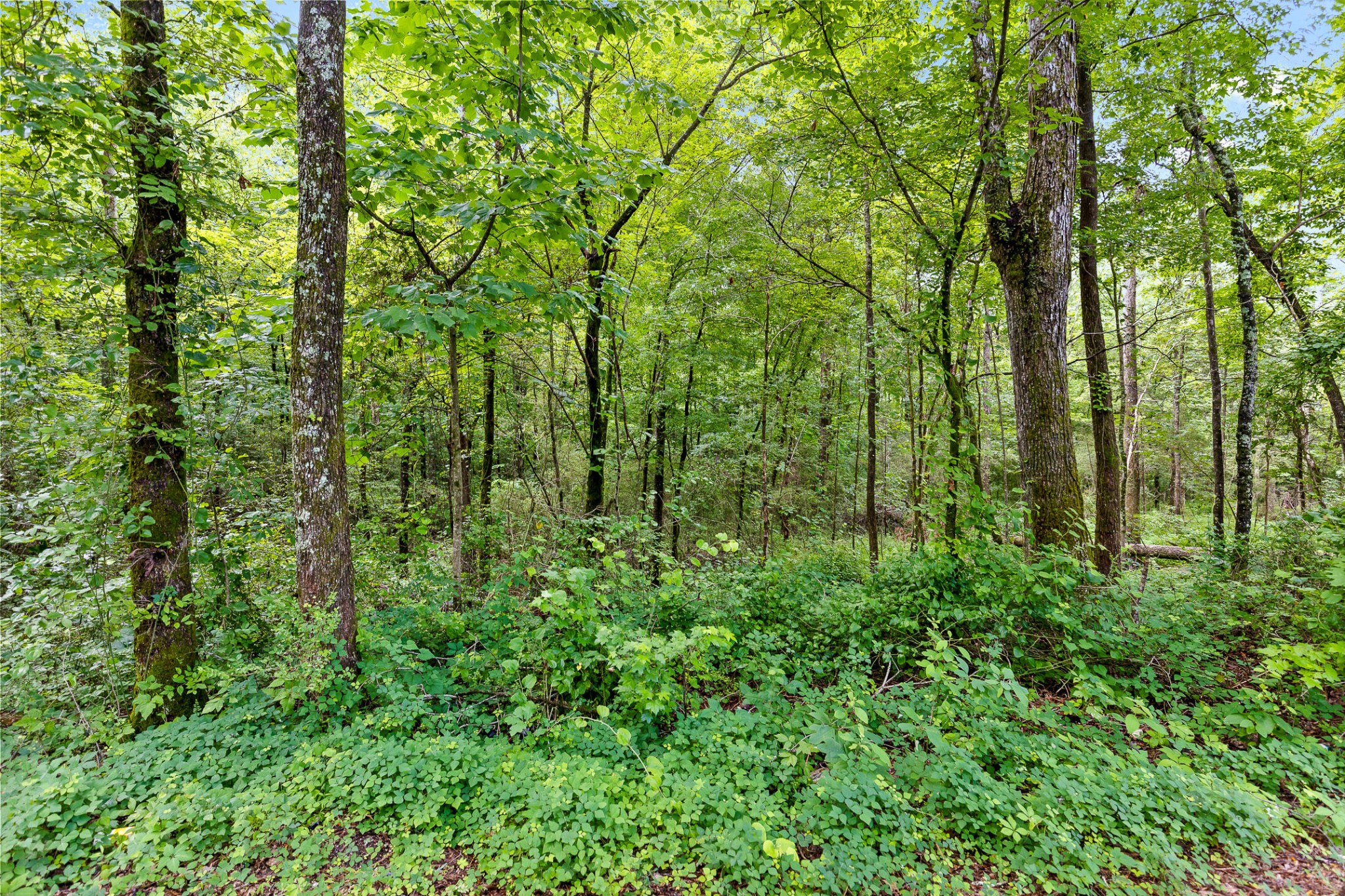 0 N Highway 27 Property Photo 6