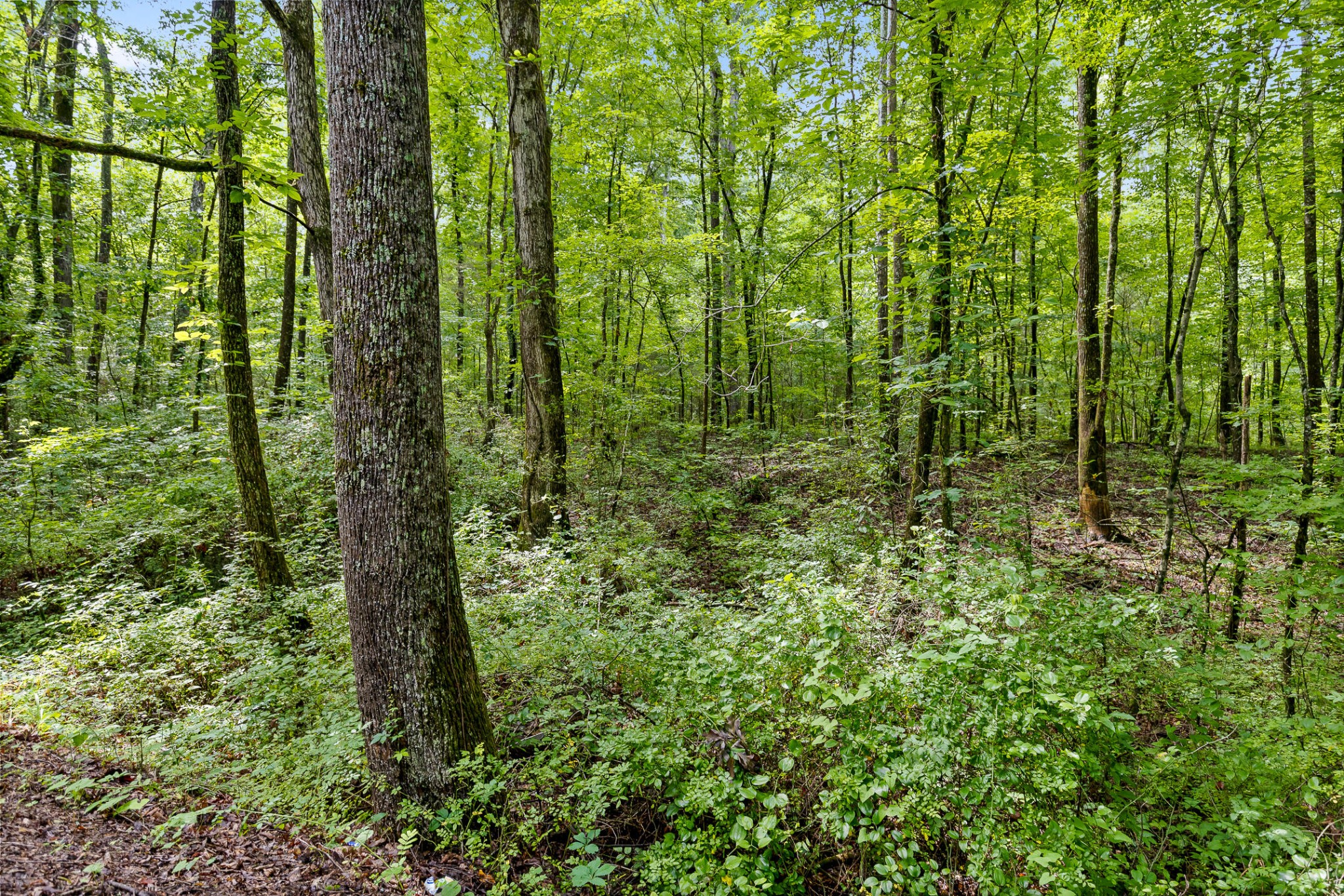 0 N Highway 27 Property Photo 7