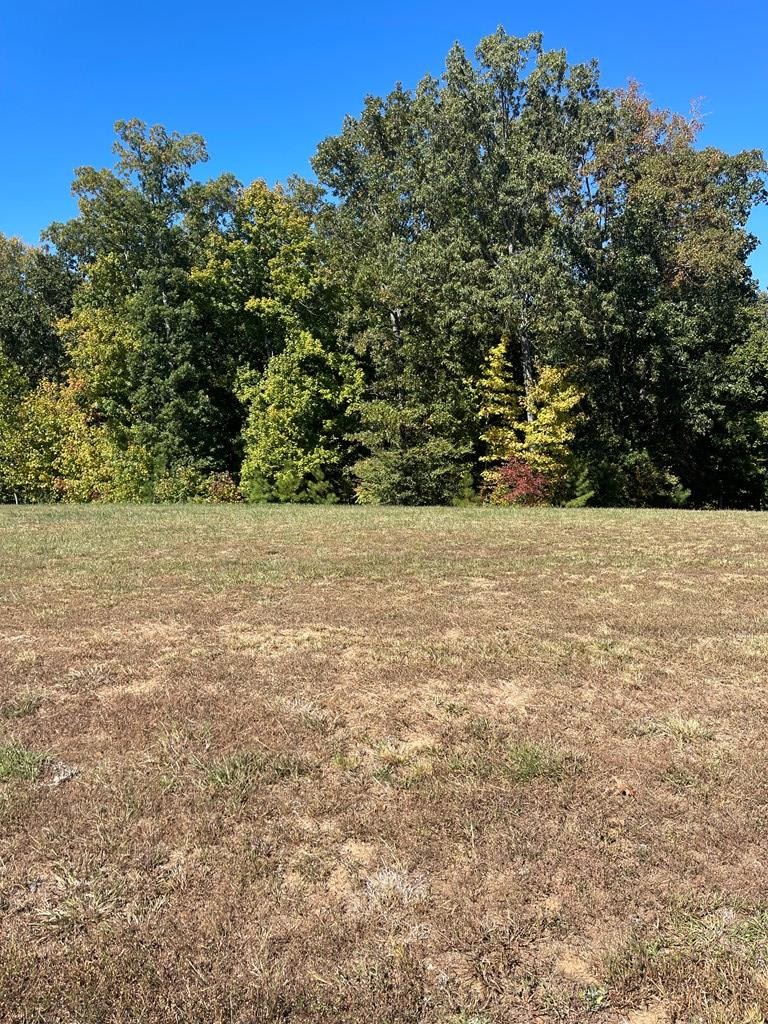 0 Kyle Rd Property Photo 3