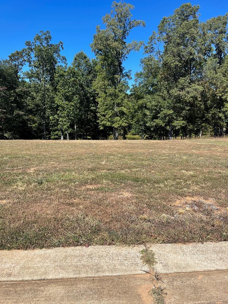 0 Kyle Rd Property Photo 5