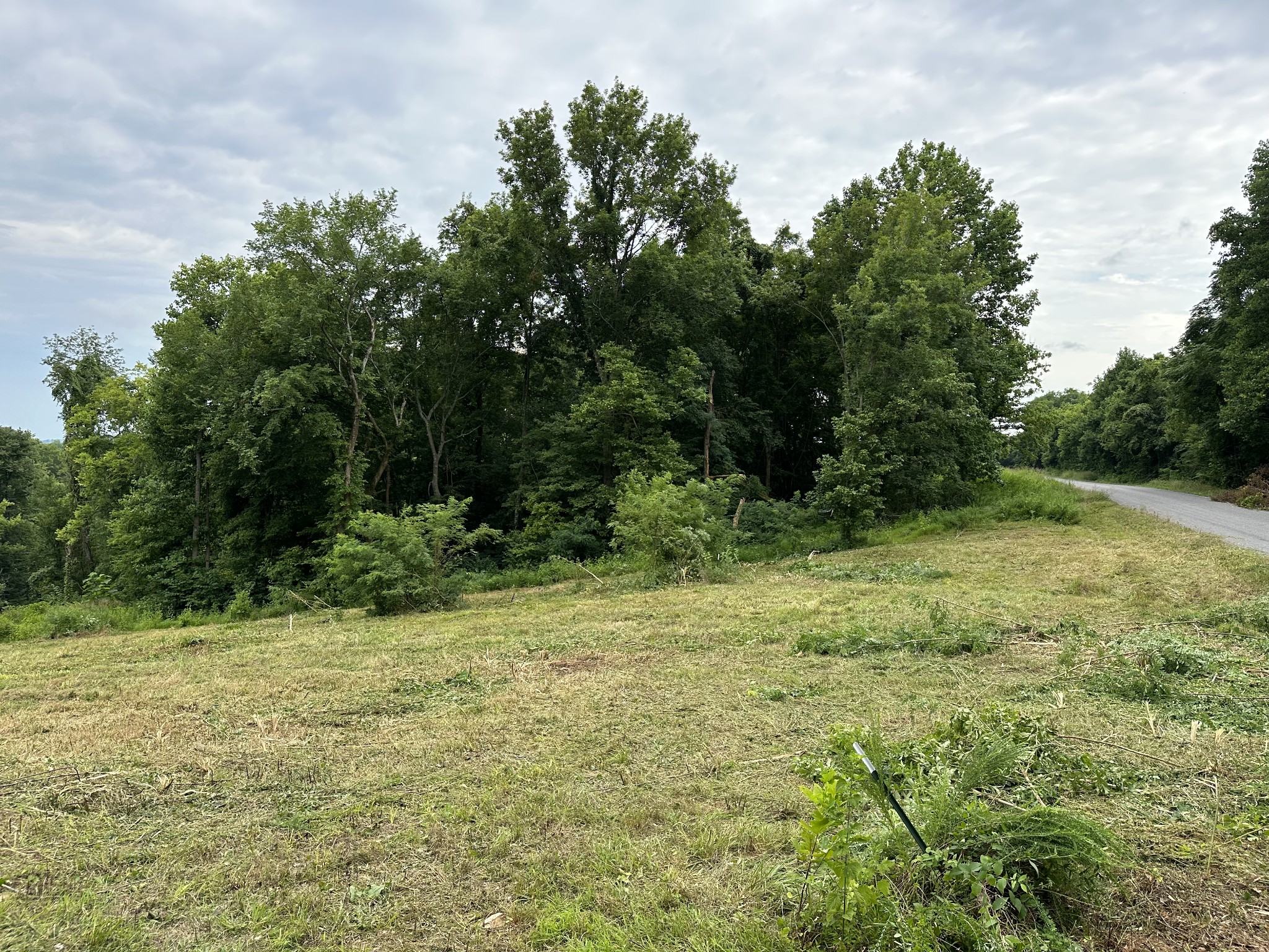 1342 Theta Pike Property Photo 2