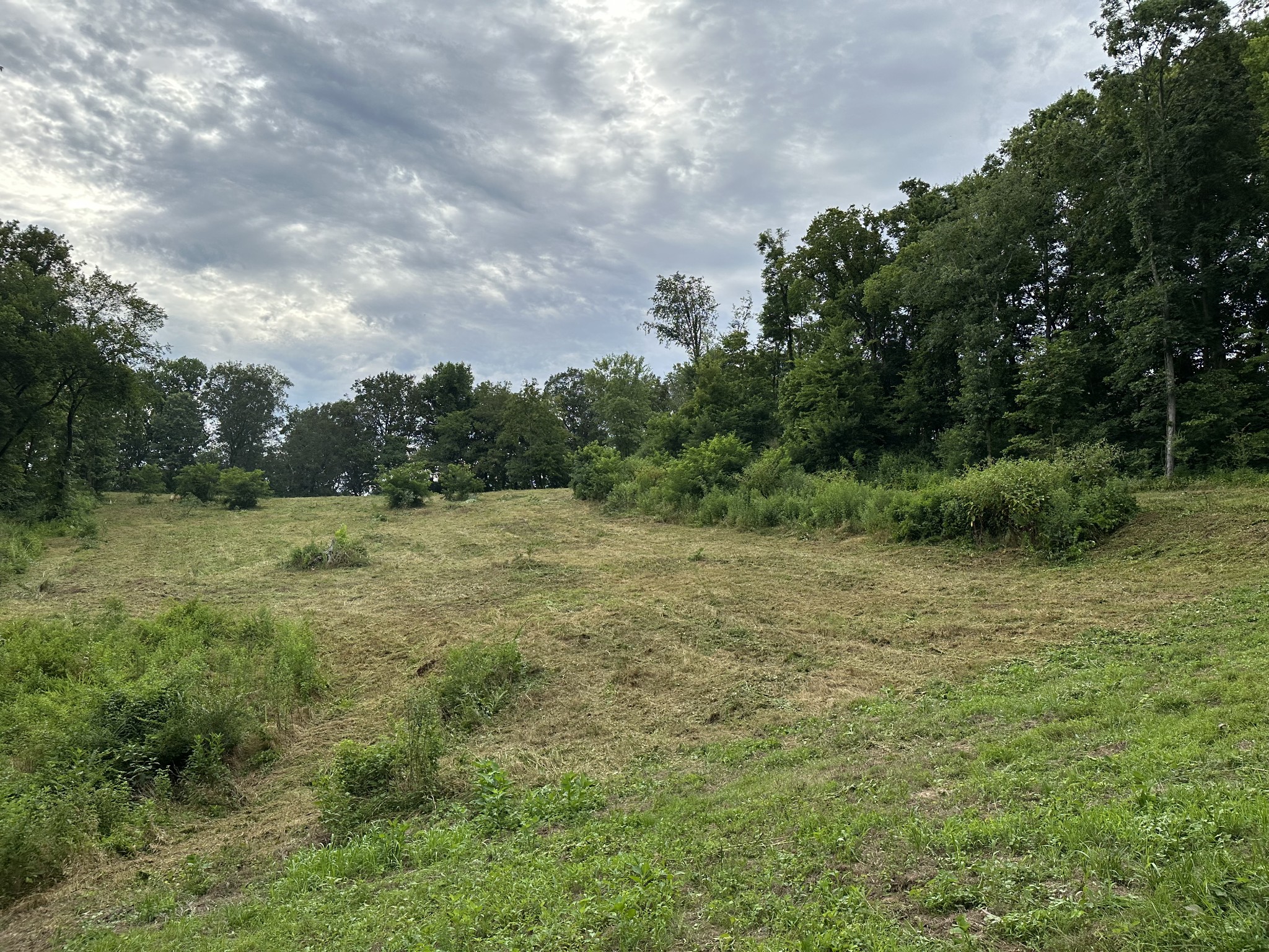 1342 Theta Pike Property Photo 12