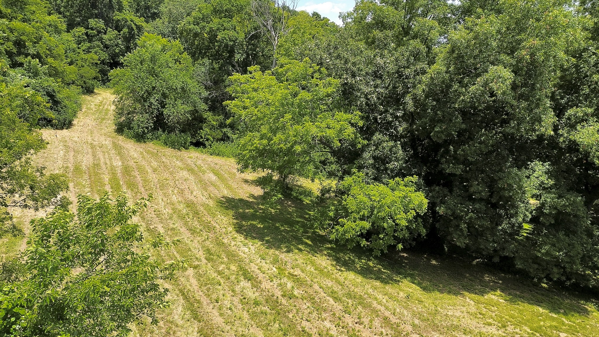 2246 S Berrys Chapel Rd Property Photo 15