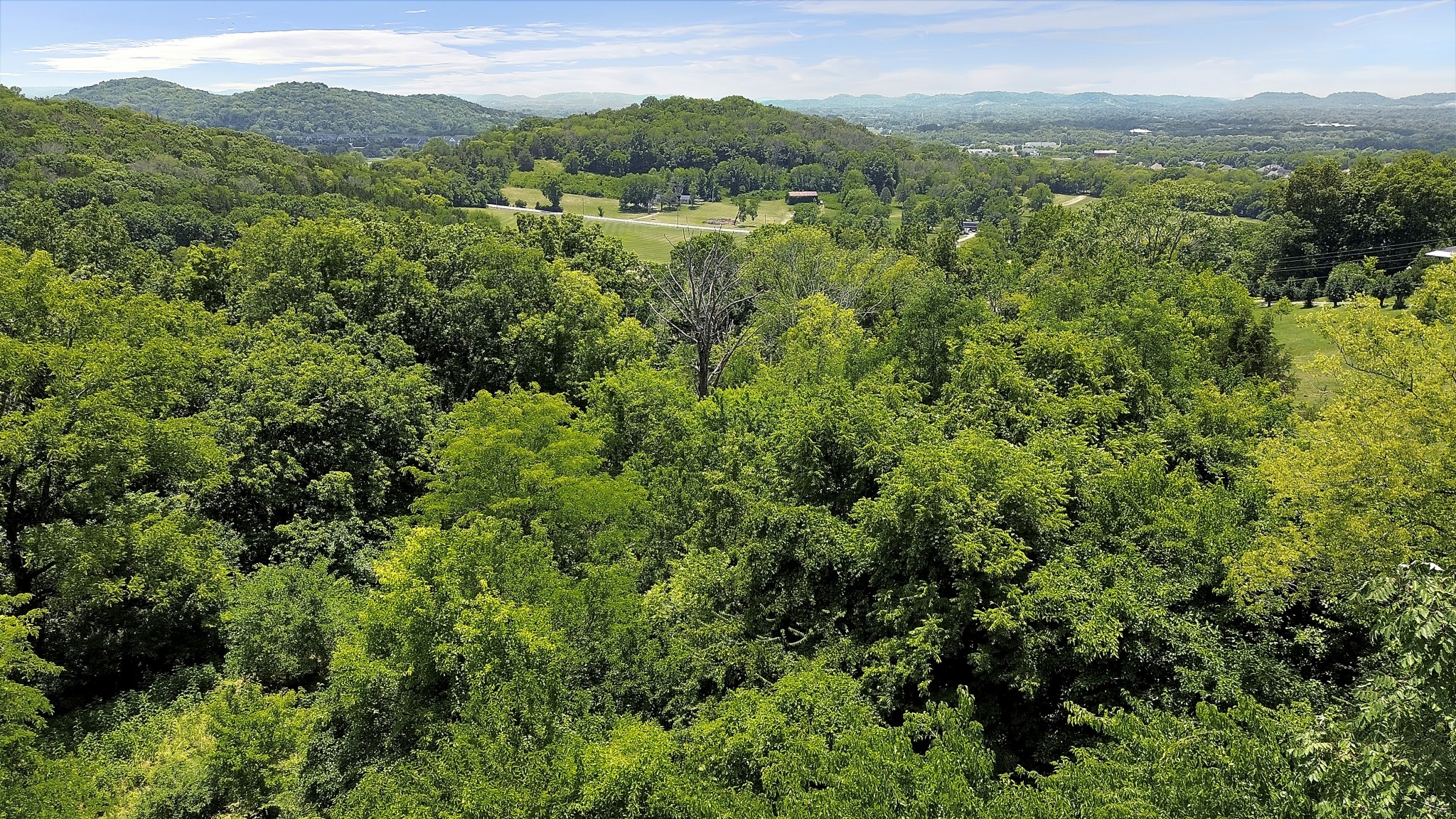 2246 S Berrys Chapel Rd Property Photo 16