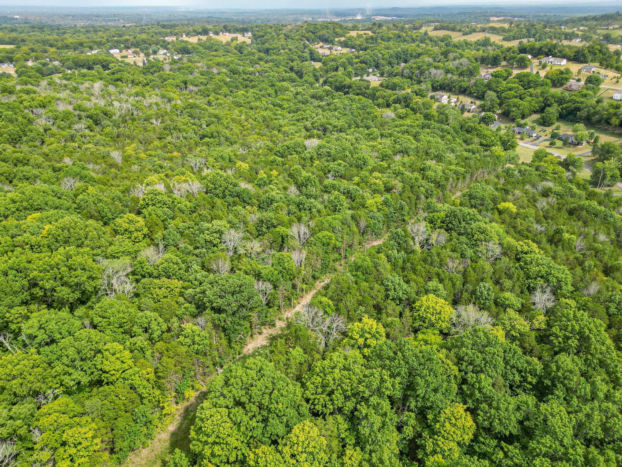 0 Cliff Amos Road N Of Tn Property Photo 4