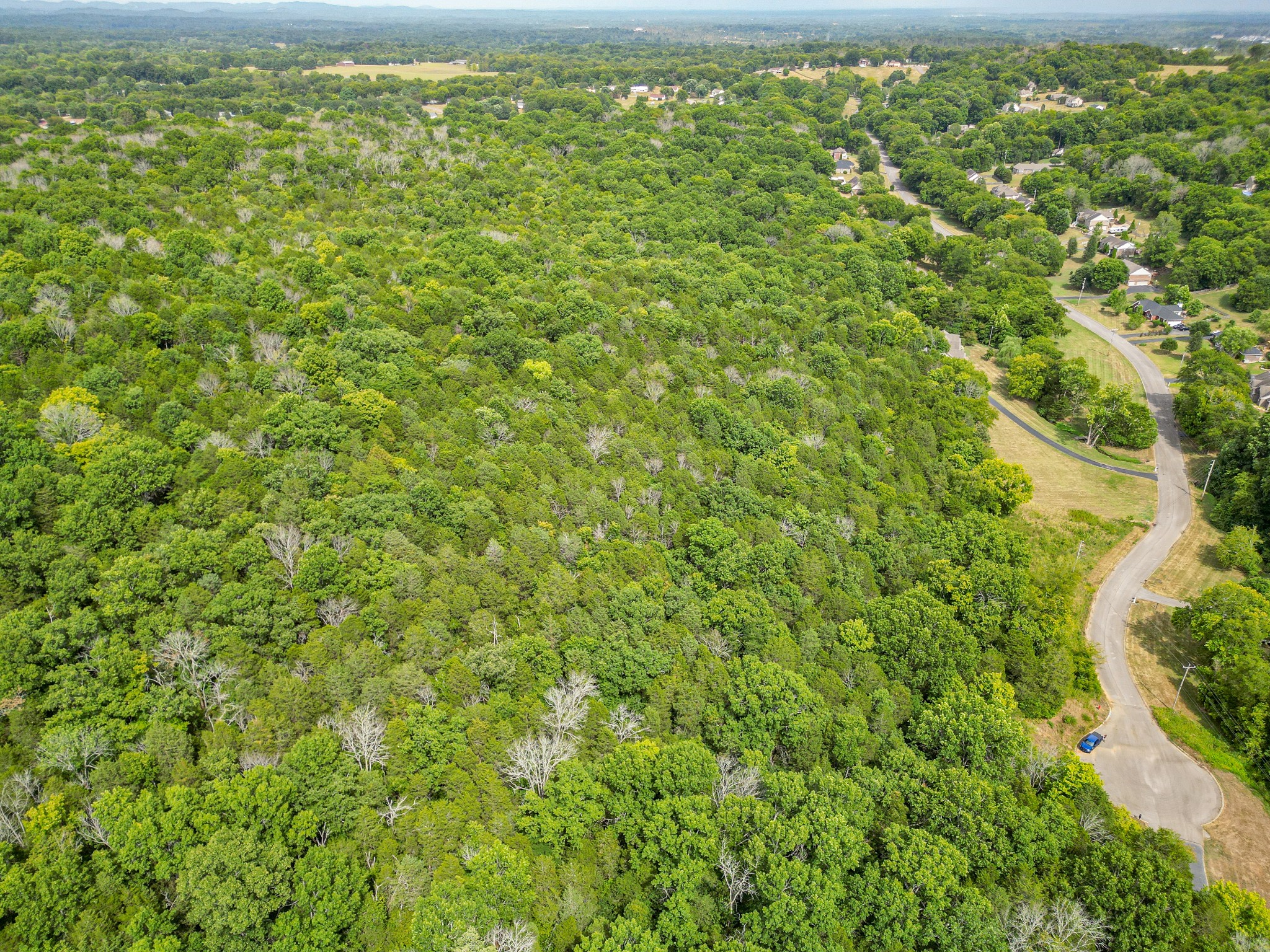 0 Cliff Amos Road N Of Tn Property Photo 5
