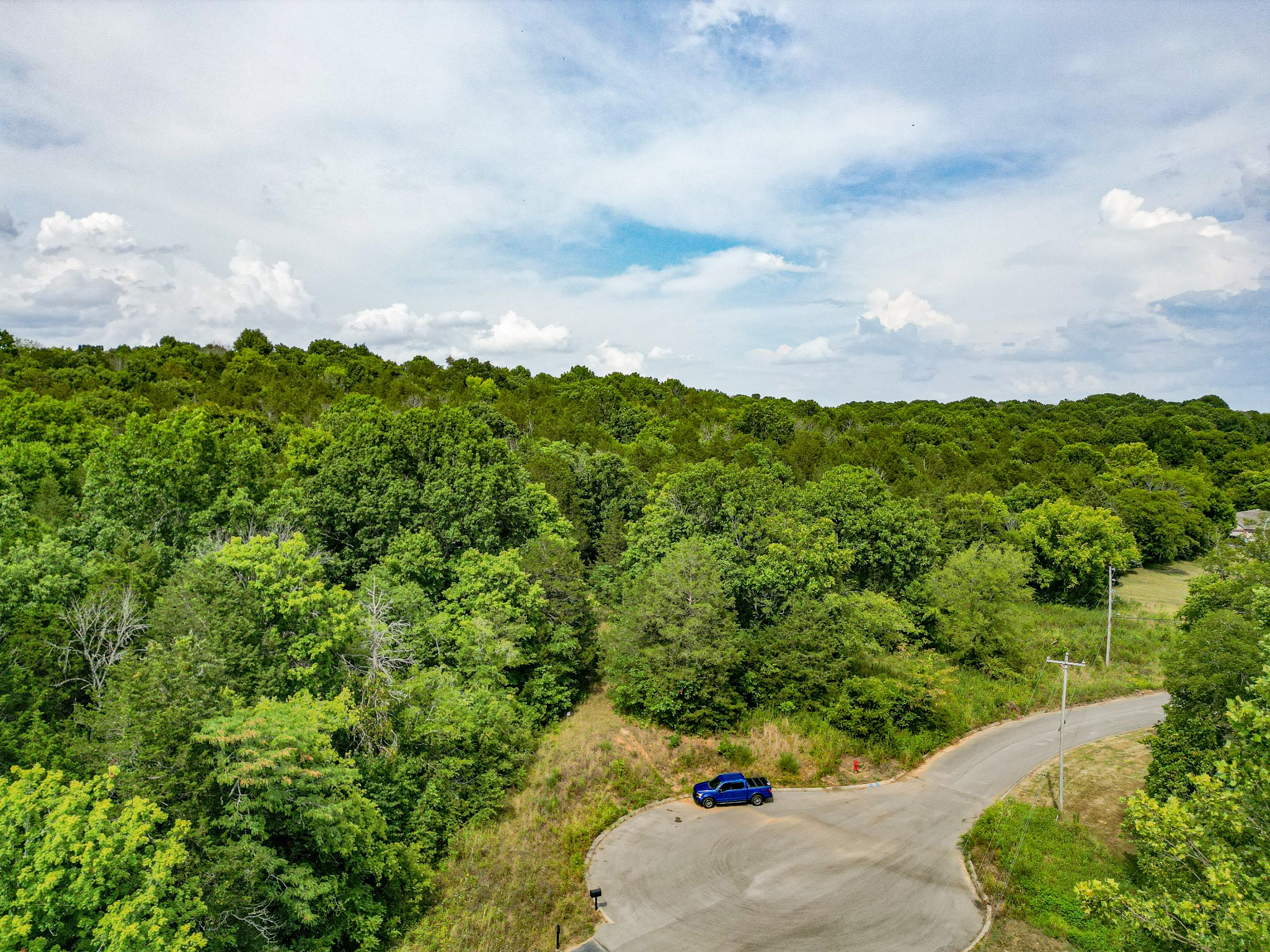 0 Cliff Amos Road N Of Tn Property Photo 6