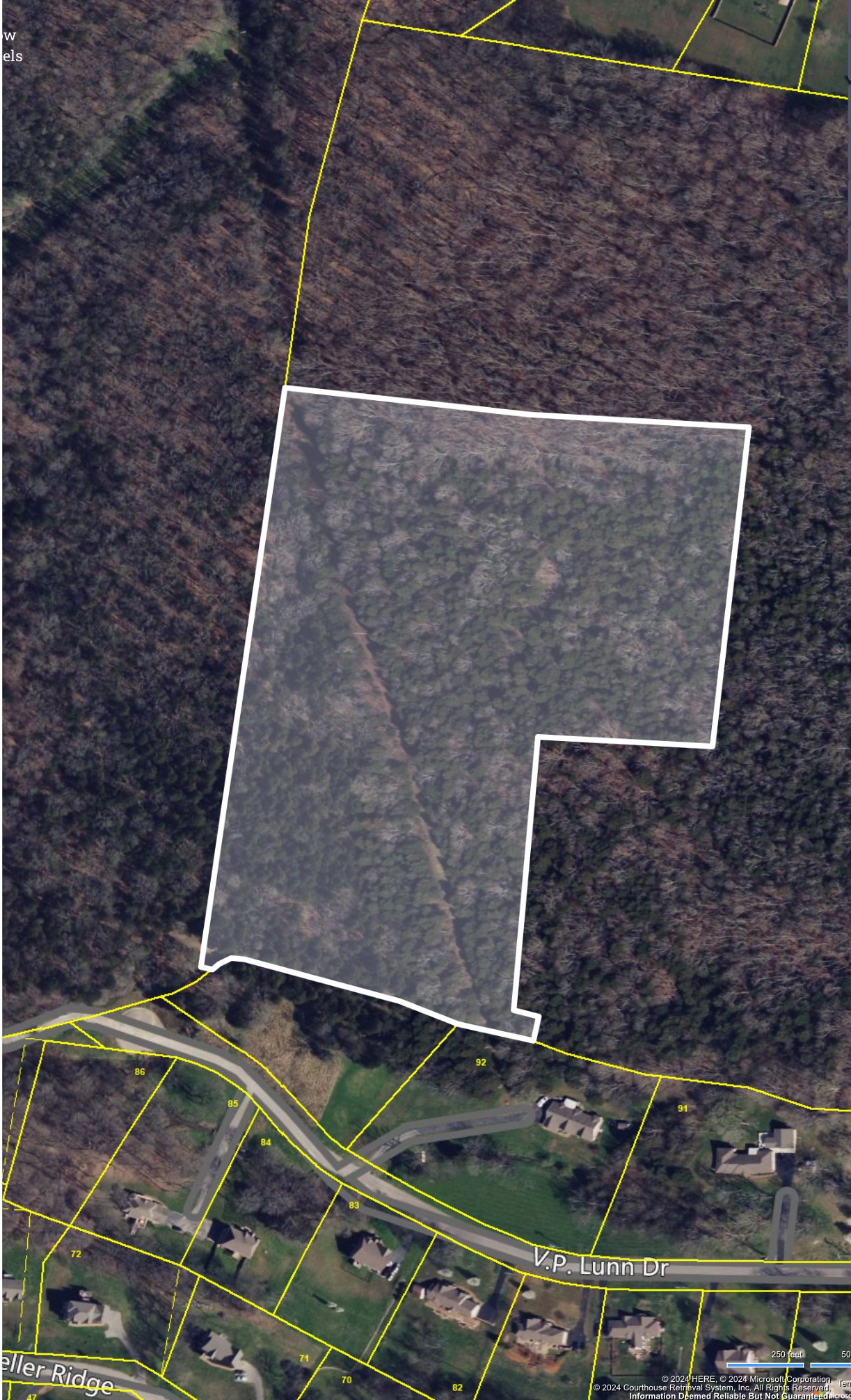 0 Cliff Amos Road N Of Tn Property Photo 7