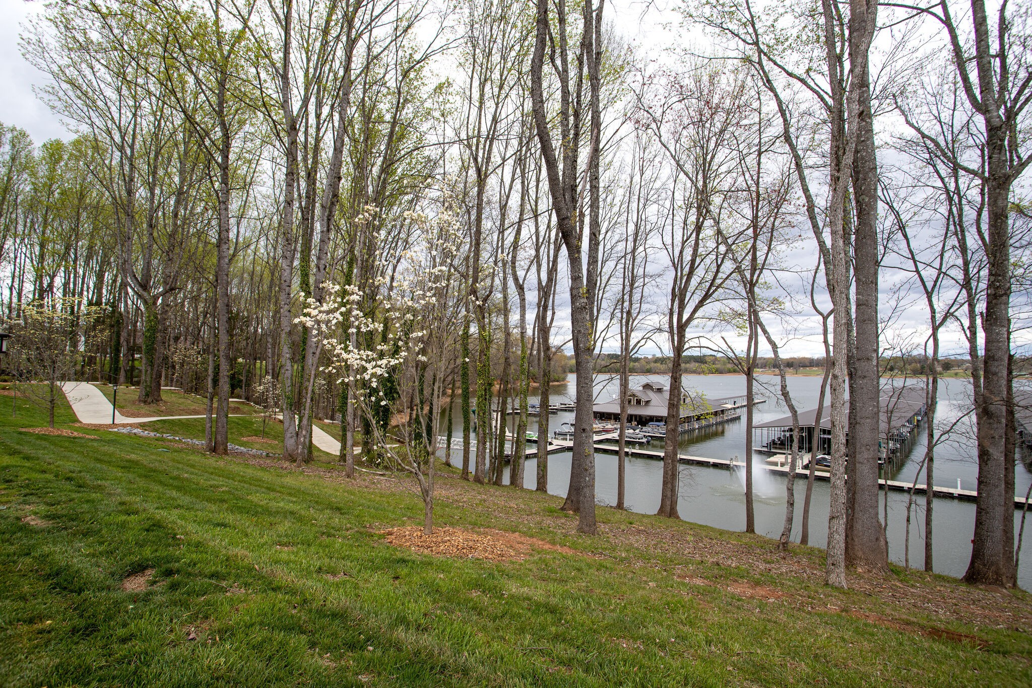 0 Driftwood Ct Property Photo 18