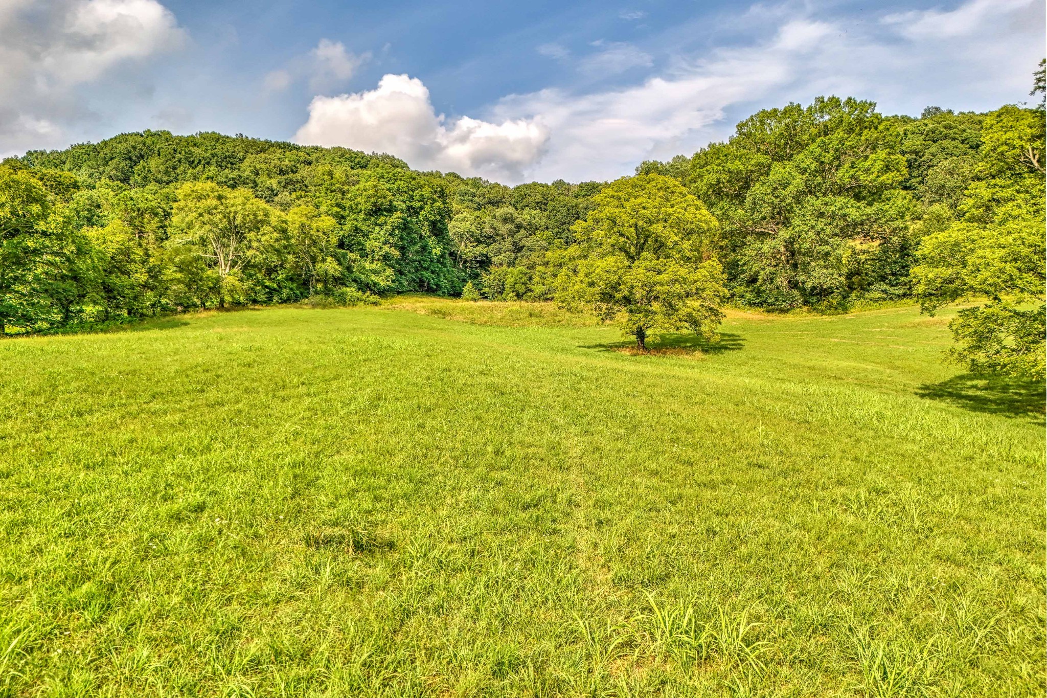 1089 Pennington Private Way Property Photo 12