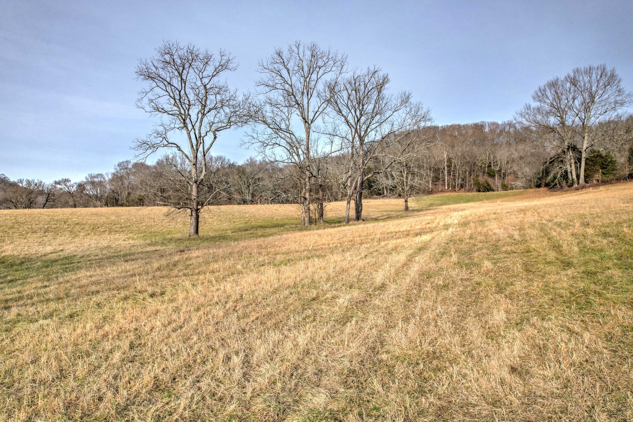 1089 Pennington Private Way Property Photo 18