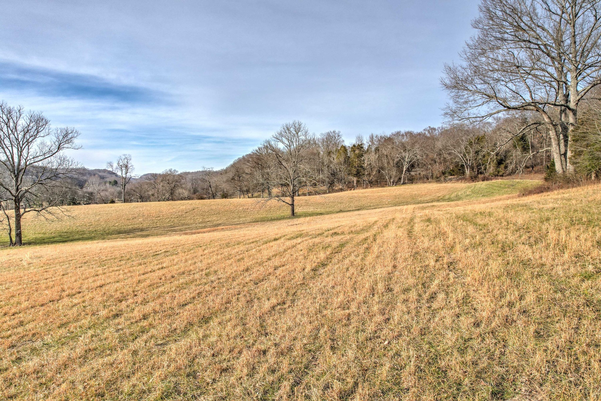 1089 Pennington Private Way Property Photo 19