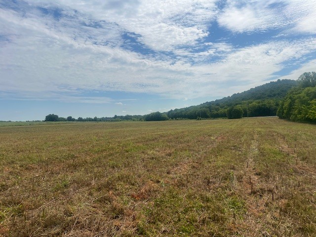 0 Hwy 130 W Property Photo 3