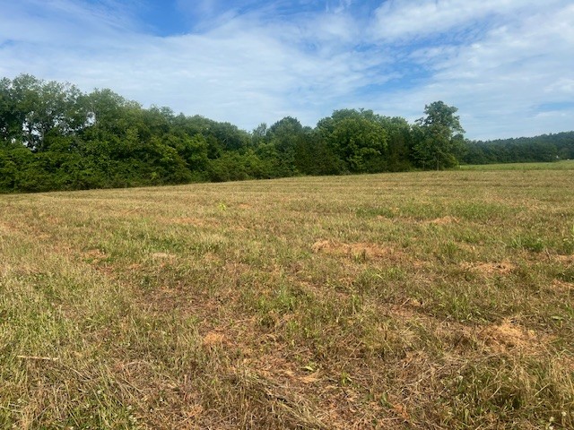 0 Hwy 130 W Property Photo 6
