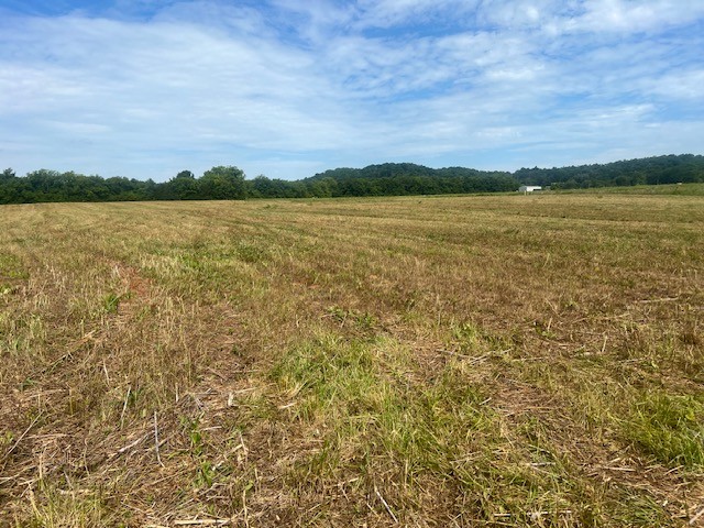 0 Hwy 130 W Property Photo 7