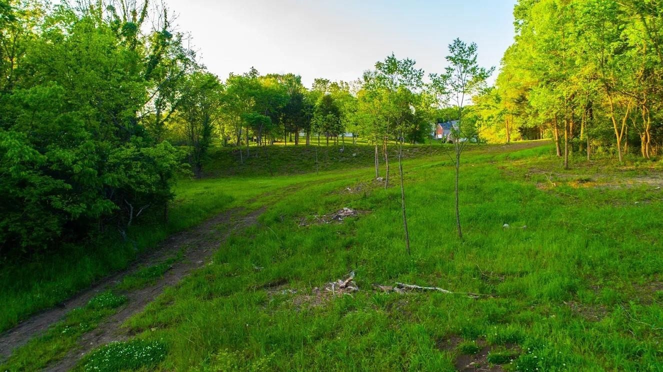0 Forest Retreat Rd Property Photo 5