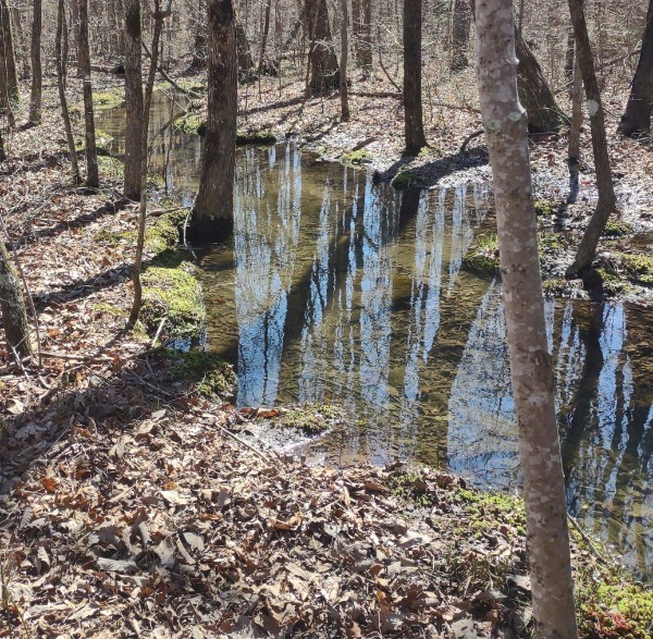 0 Deer Run Road Property Photo