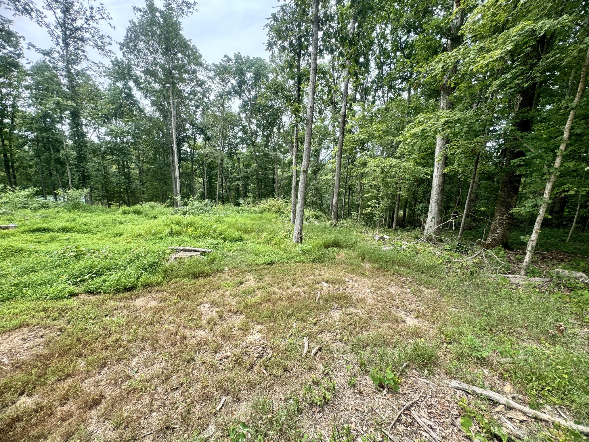 372 Cheree Loop Property Photo 13