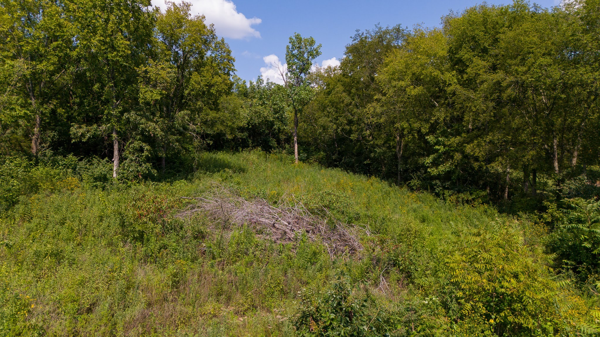 0 Monticello Drive Property Photo 2