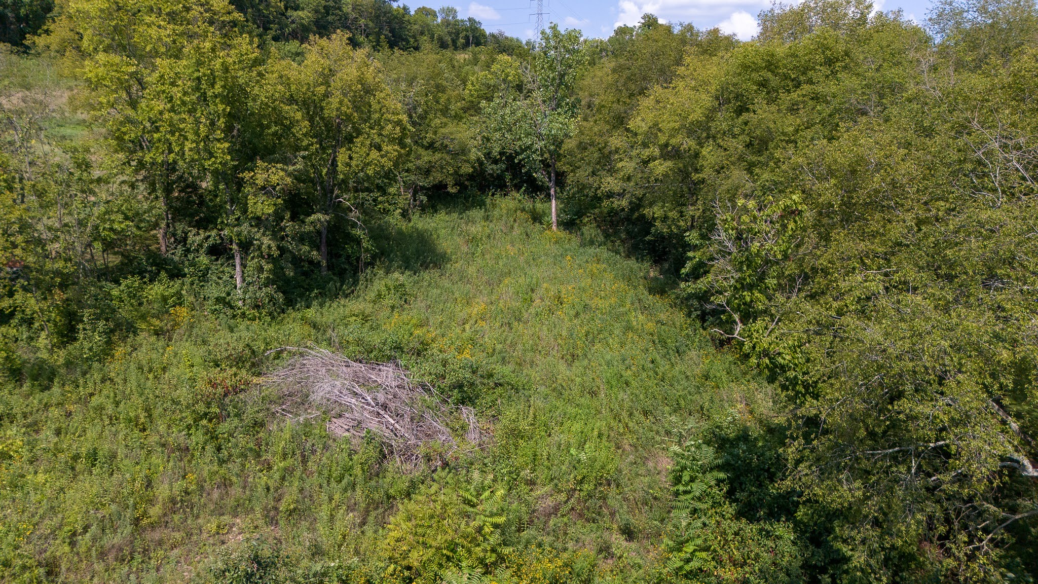 0 Monticello Drive Property Photo 6