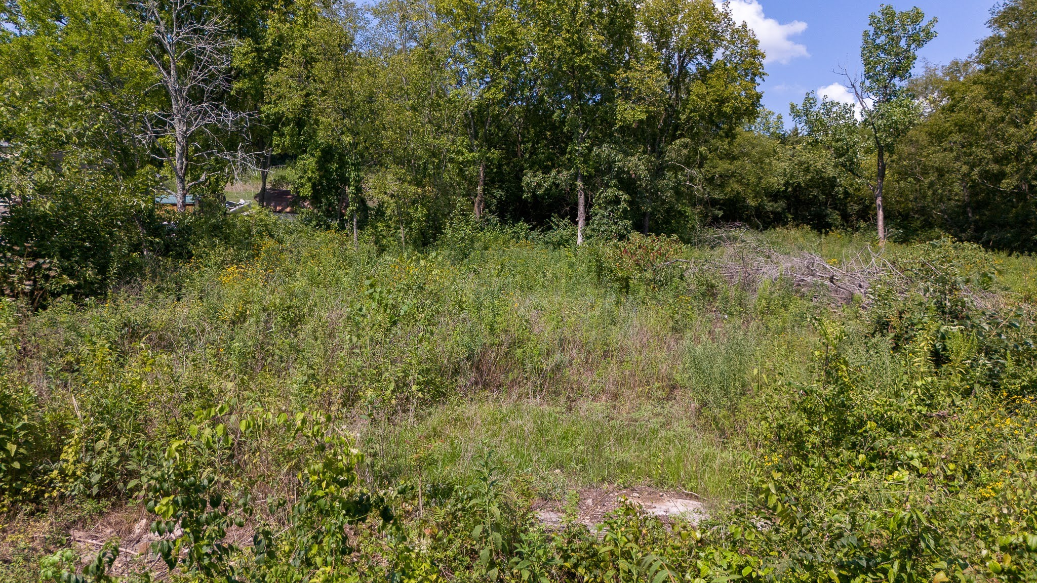 0 Monticello Drive Property Photo 14