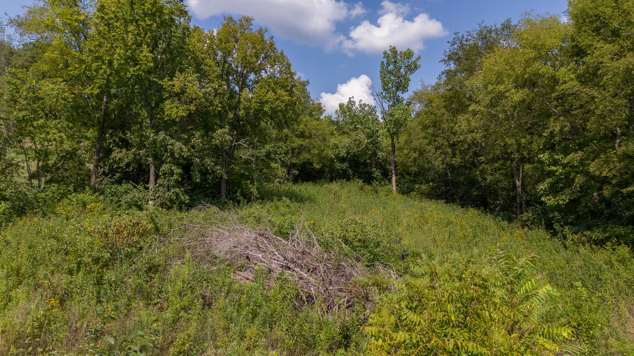 0 Monticello Drive Property Photo 17