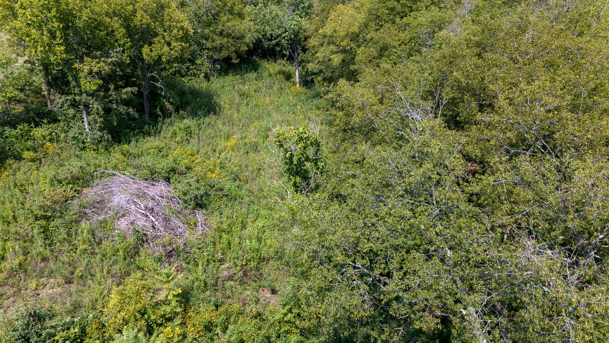 0 Monticello Drive Property Photo 19