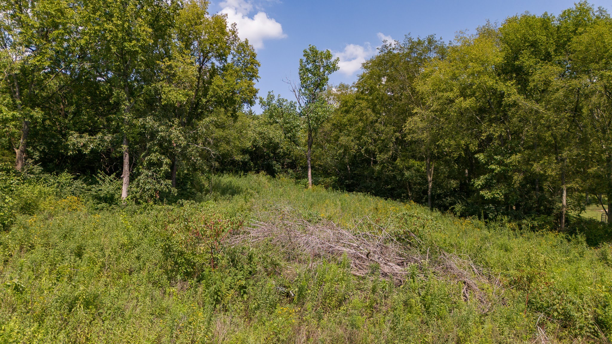0 Monticello Drive Property Photo 20