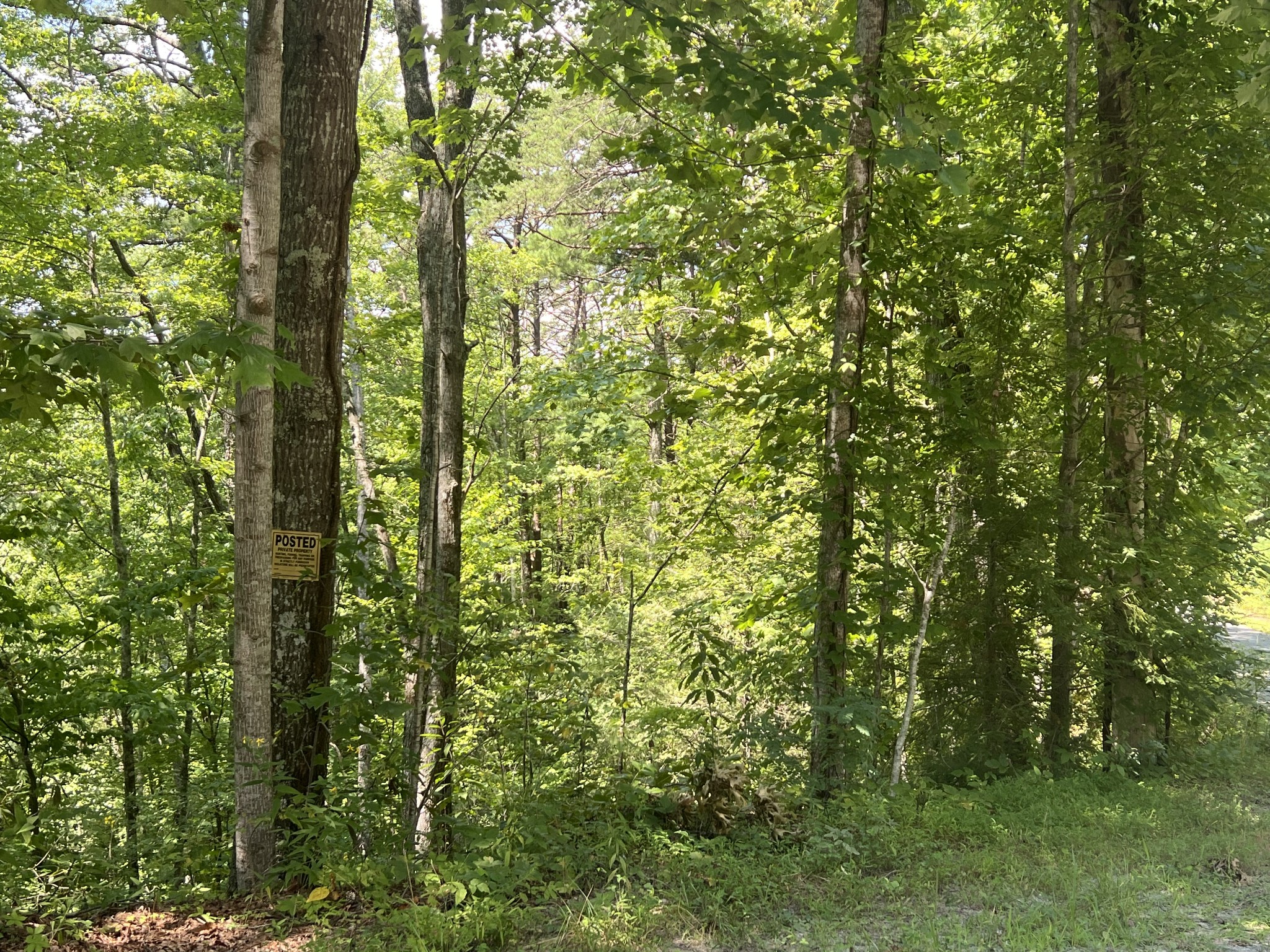6 Walnut Flats Property Photo 10