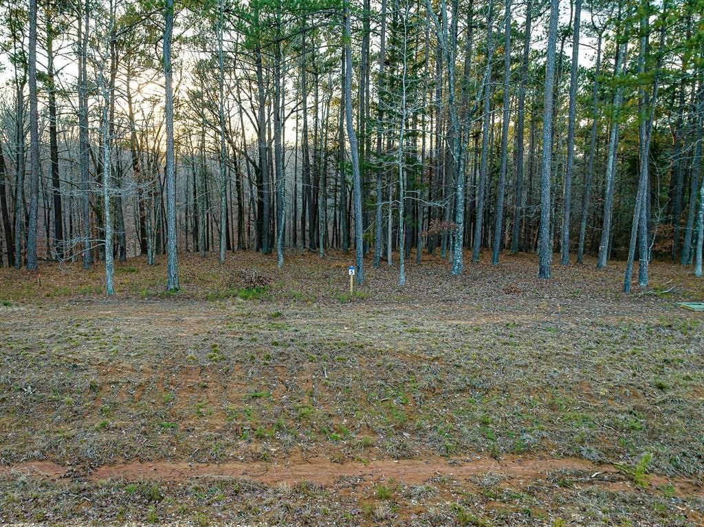 0 Stately Oak Dr Property Photo 8