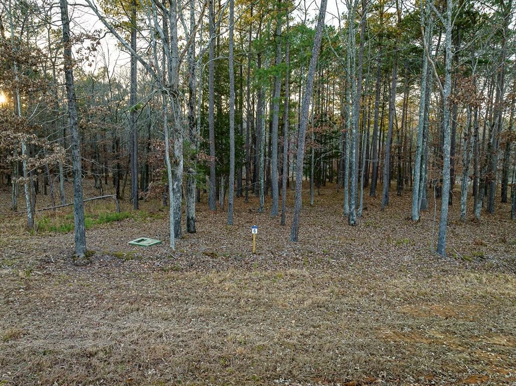 0 Stately Oak Dr Property Photo 1