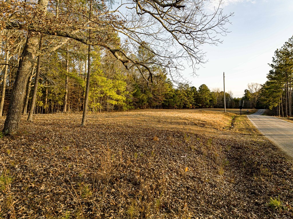0 Stately Oak Dr Property Photo 7