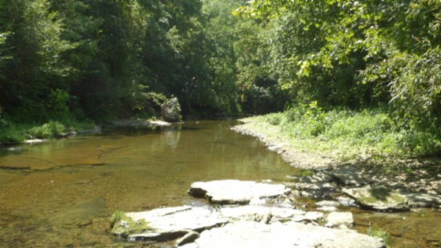 5155 Brimstone Creek Rd Property Photo