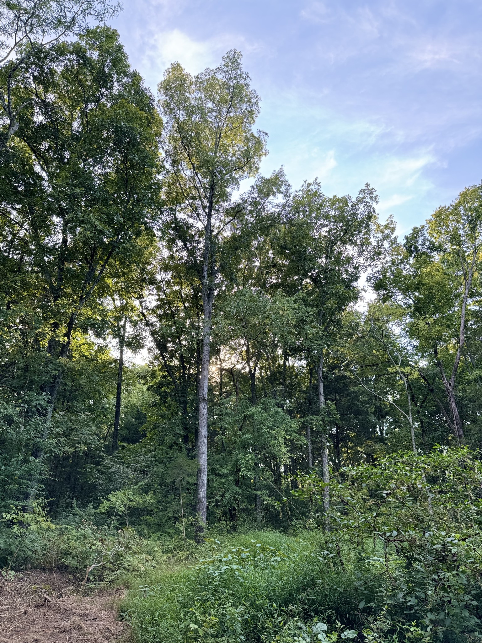 11911 Franklin Rd Property Photo 14