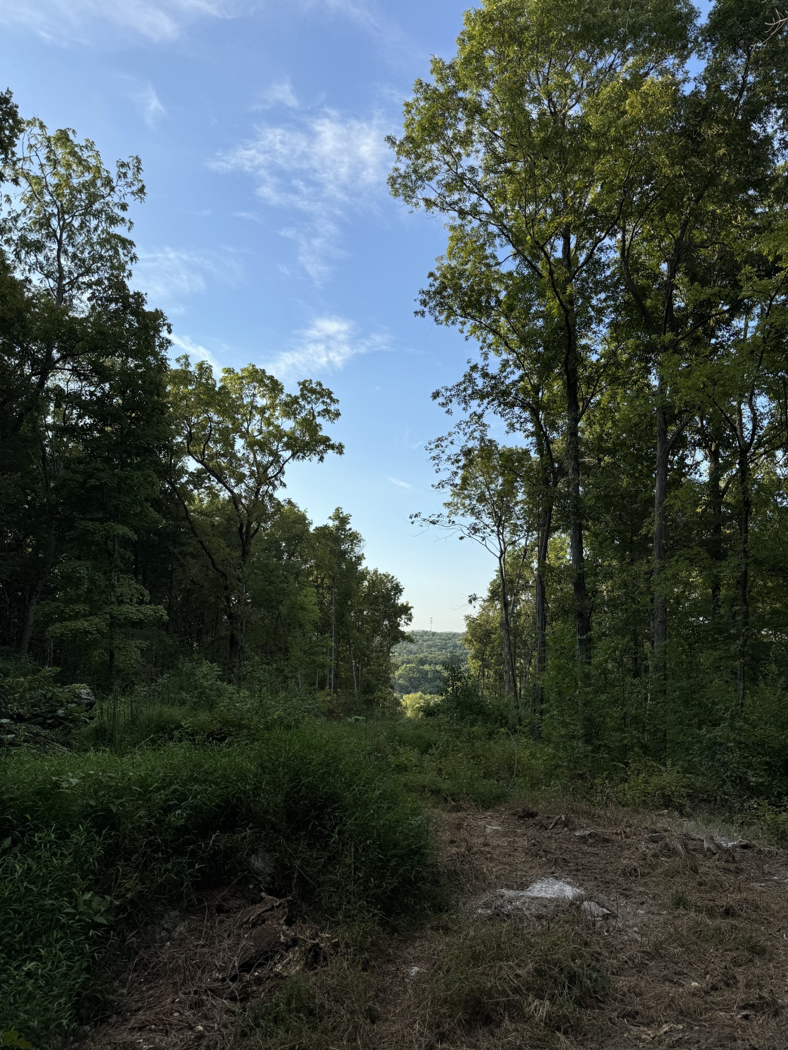 11911 Franklin Rd Property Photo 15