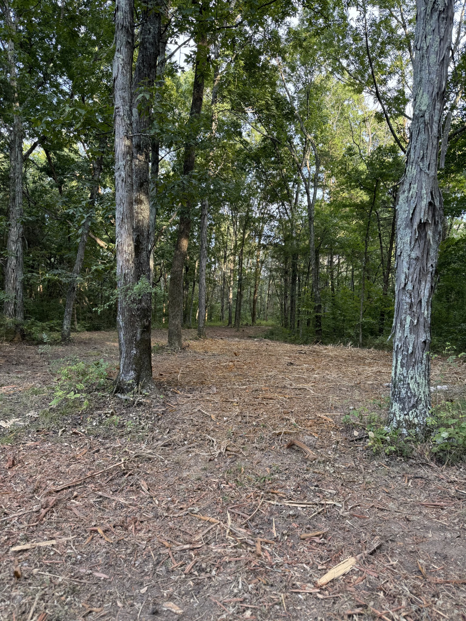 11911 Franklin Rd Property Photo 16