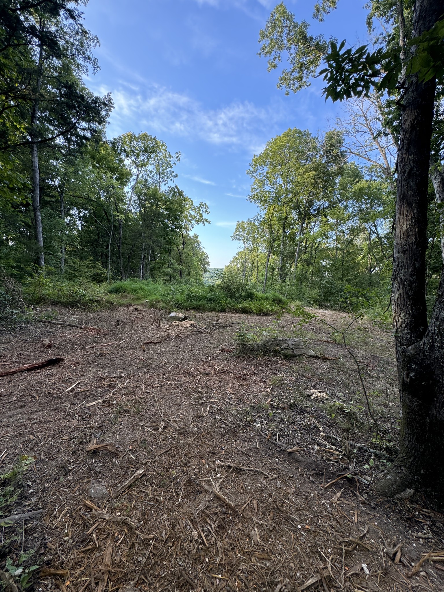 11911 Franklin Rd Property Photo 17