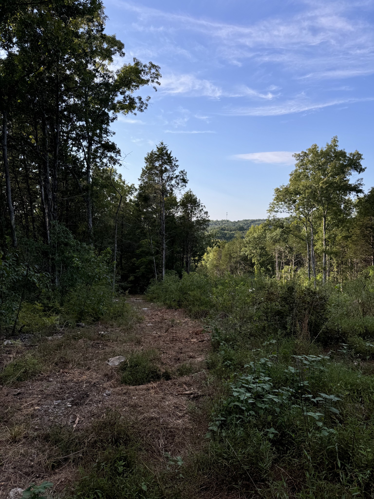 11911 Franklin Rd Property Photo 20