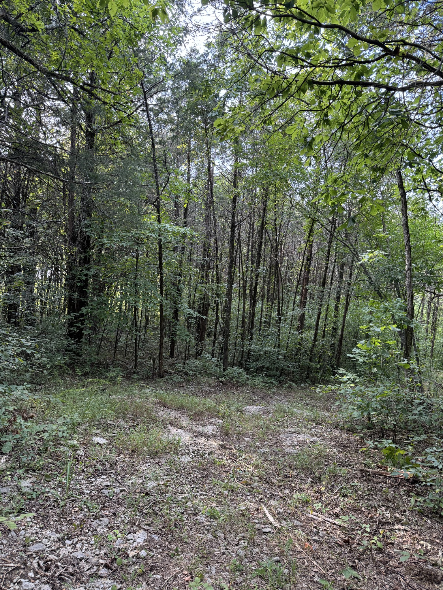 11911 Franklin Rd Property Photo 21