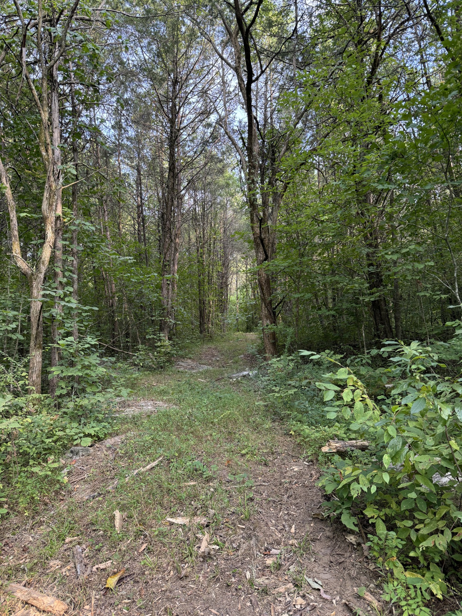 11911 Franklin Rd Property Photo 24